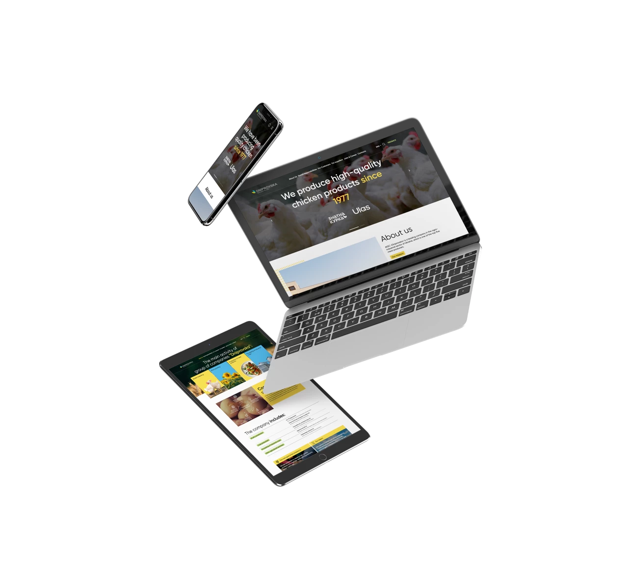 Corporate websites