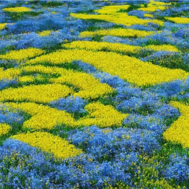 Peaceful Ukraine