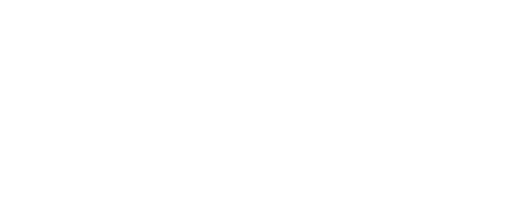 Zollex
